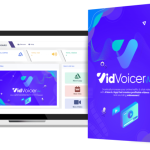 VidVoicer